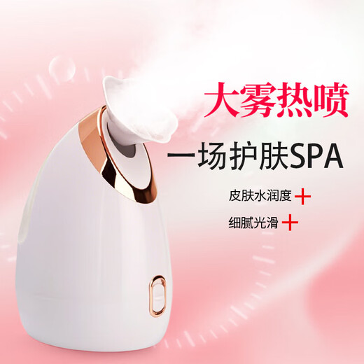 Hot spray facial steamer to hydrate and moisturize, household facial steamer, beauty instrument, delicate spray machine, facial humidifier, nano spray to hydrate, girlfriend and elders Christmas gift 904 white
