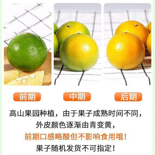 皇帝柑柑橘非沃柑新鲜应季水果鲜甜多汁果肉细嫩多汁(一级果） 皇帝柑带箱9斤(55mm+)