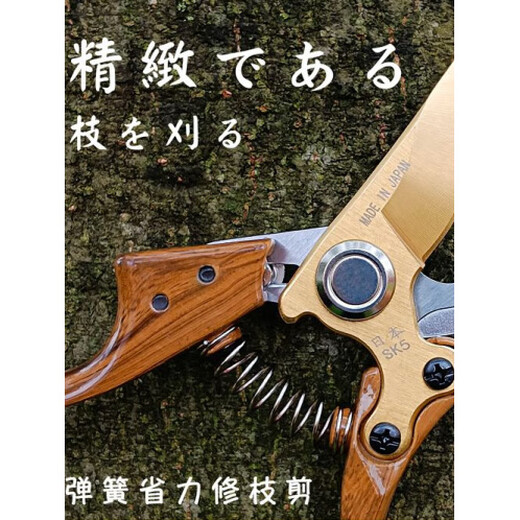 JCZS new original new powerful sharp thick branch pruning garden fruit tree household labor-saving flower scissors gardening special black handle pruning shears (opp bag)