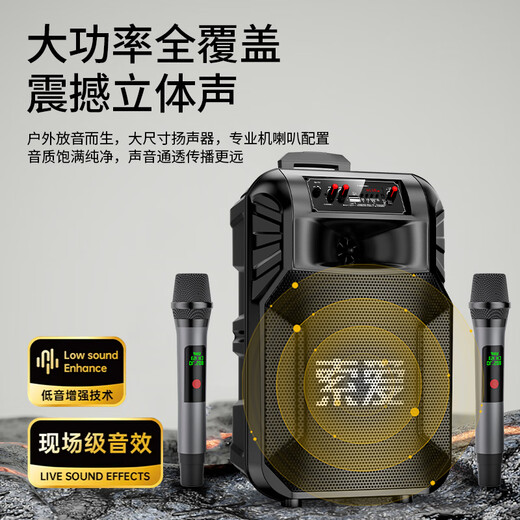 Sony Ericsson (soaiy) F21 Square Dance Audio Mobile Bluetooth Portable Trolley Speaker Performance Home High Power Family K Song with Wireless Microphone Upgraded Dual Charging Microphone