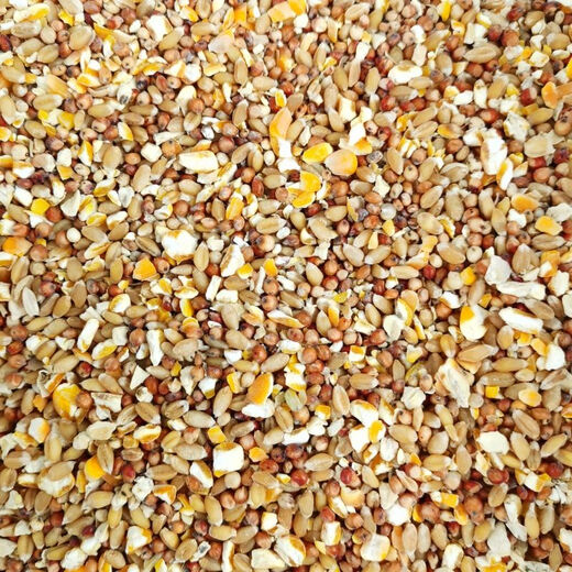 Sorghum, wheat and chopped corn mixed to feed chickens, corn crushed residue, corn grits, chicken and duck grain, pigeon grain, rabbit, pig, hamster, 7Jin Jin equals 0.5 kg (sorghum + wheat + chopped corn mixed)