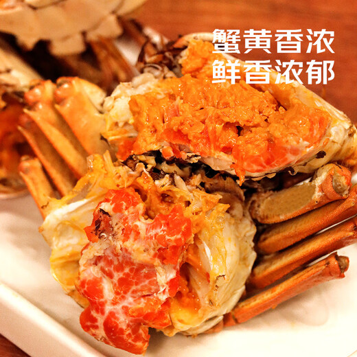 Live Crabs Crab San Clipper Village Hairy Crab Male 5.5-5.8 Two Females 4.5-4.8 Two 4 Pairs 8 Fresh Crabs in Stock Fresh Gift Box Directly from the Source