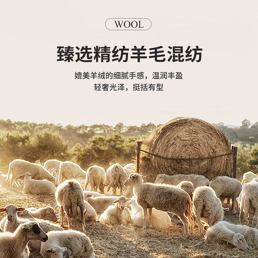 Antonio high count worsted suit men's suit wedding dress suit business suit spring and autumn vest three-piece set dark gray 48 B (175/96B)