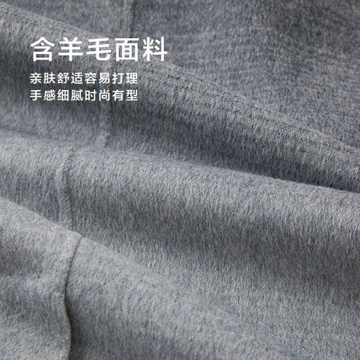 HLA Hailan House Coat Men's 25 Suit Collar Goose Down Liner Warm Jacket Men's Winter