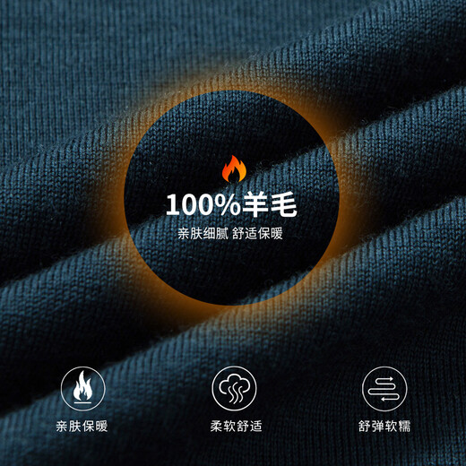 Hodo 100% wool machine washable autumn and winter wool sweater men's lapel sweater long-sleeved bottoming shirt