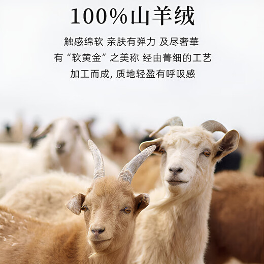 XJSGS international high-end brand autumn and winter heavyweight thickened green fruit collar goat wool cardigan men's new wool sweater jacket high-end dark camel heavyweight counter same style thickened winter style XL