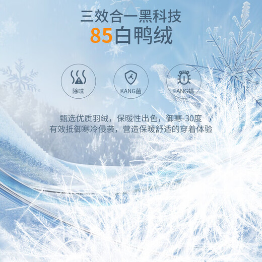 李宁（LI-NING）李宁长款羽绒服国旗款国家羽毛球队同款白鸭毛羽绒服男女黑色正品 长款羽绒服【85%鸭绒+国旗】 L