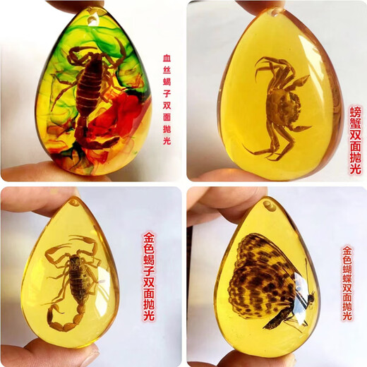 Fat Donglai's same amber insect specimens for elementary school textbooks popular insect amber resin ornaments butterfly crab creative hanging scorpion + hanging rope