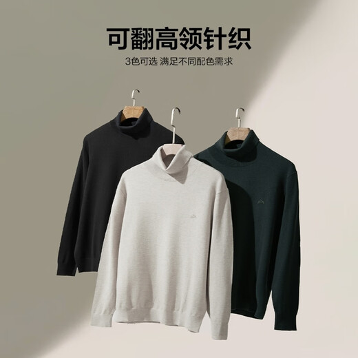 HLA Hailan House sweater for men, the mountain is not high, the turtleneck warm sweater is winter for men
