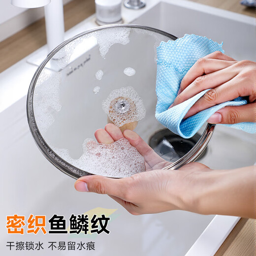 Jia helper fish scale wipe 25*25cm*10 pieces dry and wet dual-use glass mirror cup household absorbent scouring pad