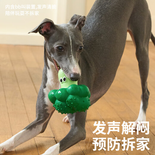 ZEZE dog chewing toy, teeth grinding, bite-resistant, sound-relieving, chewing toy, small dog Teddy pet supplies