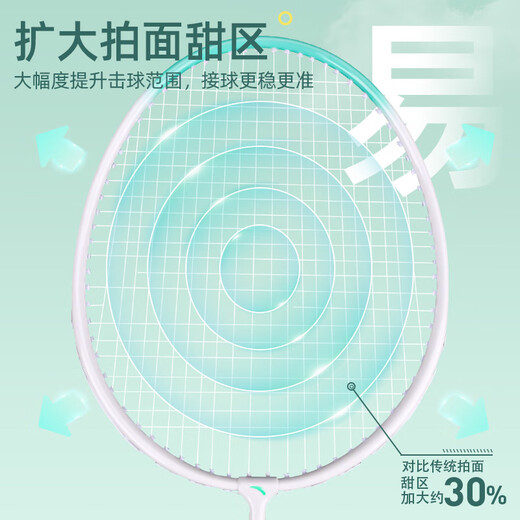 安踏（ANTA）羽毛球拍对拍铝合金深凹槽超轻耐打训练成人儿童学生羽拍621-3