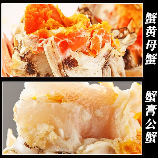 [Living Crab] Panjin River Crab Rice Field Crab River Crab Fresh Live Hairy Crab Gift Box Fat Crab Cordless Net Weight Whole Female Crab 1.8-2.1 Twelve [6]