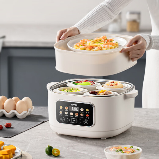 LOTOR electric stew pot, stew pot, bird's nest stew pot, water-proof soup pot, water-proof soup pot, water-proof stew porridge artifact, porridge pot, stew and steaming all-in-one LD-DDZ-D31C