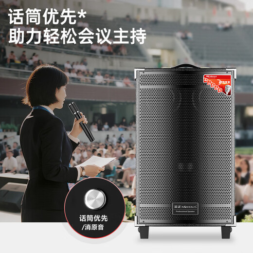 NINTAUS 8-inch square dance speaker outdoor portable Bluetooth speaker high volume high power trolley speaker karaoke professional equipment removable N12-20