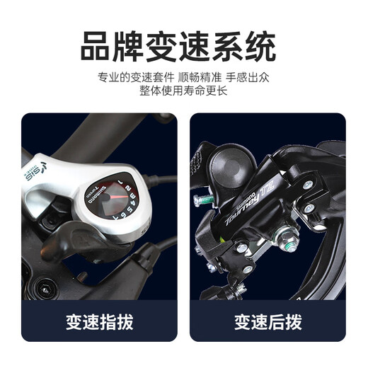 HITO Germany 20/22-inch folding bicycle 451 wheels ultra-light parent-child variable-speed bicycle for adults, titanium white 20 inches - spoked wheels 20 inches