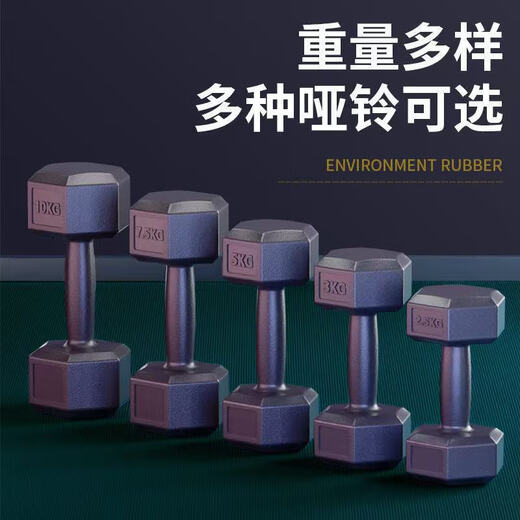 Dumbbell men's fitness home dormitory strength equipment for teenagers and ladies kettlebell barbell hexagonal 10/5kg pair 10kg 1 pair (5kgX2 only)