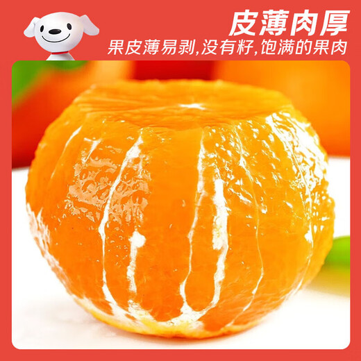 Jingdida Sichuan Ehime No. 38 jelly orange, net weight 5Jin Jin equals 0.5kg, single fruit 200g+, straight from the source