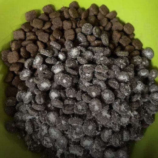 Golden Pet New Product Trial Golden Pet Golden Spruce Fresh Meat Cat Food Scientifically Proportioned for Real Hair Removal - Long-term Maintenance 40g*21 Pack (Cyclic Hair Removal) 40g