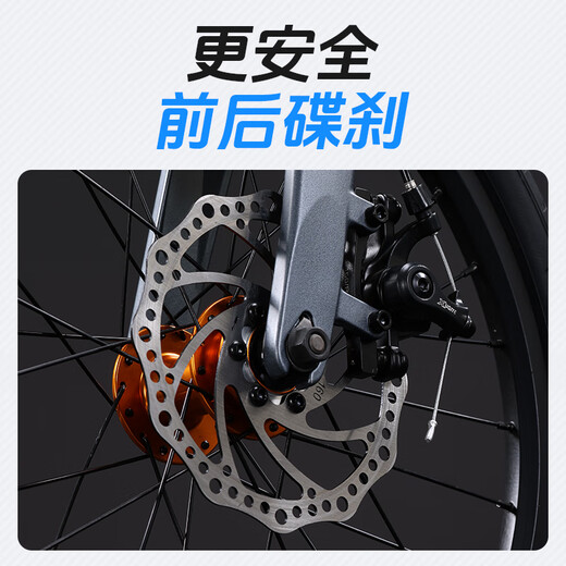 Lanling Lanling Bicycle Magnesium Alloy Folding Bicycle for Adult Male and Female Students Super Light and Trunk Transmission Bicycle Gray 20 Inch (Suitable for 150-180cm) 8 Speed