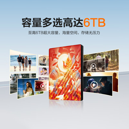 Western Digital (WD) 5TB mobile hard drive USB3.0 2.5-inch mechanical hard drive laptop external encrypted backup large-capacity storage painted customized Fire Phoenix Nirvana