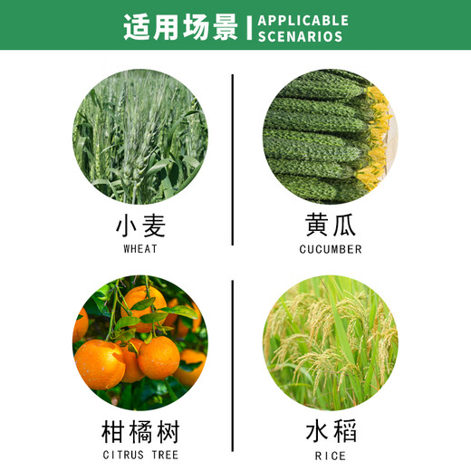 Nongtongda 24-Epibrassinolide Cucumber Rice Citrus Plant Growth Regulator Genuine 10ml*10