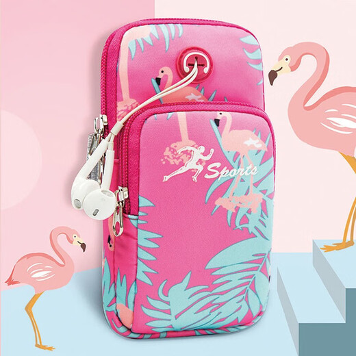 Shanye Running Cell Phone Arm Bag Sports Arm Cover Cute Cell Phone Bag Wrist Arm Bag Unisex Fitness Equipment Waterproof Cartoon Totoro Large Size 6.5 inches 18*9cm