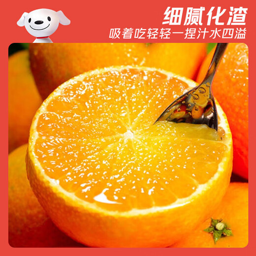 Jingdida Sichuan Ehime No. 38 jelly orange, net weight 5Jin Jin equals 0.5kg, single fruit 200g+, straight from the source