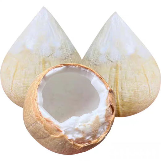Imported milky coconut royal coconut seasonal fresh fruit green coconut milky fragrance rich and sweet taste milky coconut royal 4 pieces large fruit single fruit 400-500g
