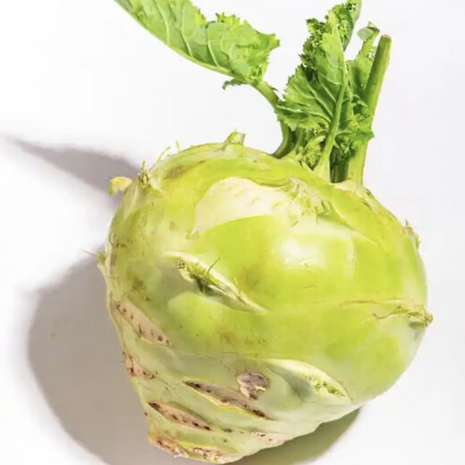 Kohlrabi seeds make pickled pickles, mustard rhizome seeds, radish seeds, spring and autumn cold-resistant vegetable seeds, 5 bald melon seedlings