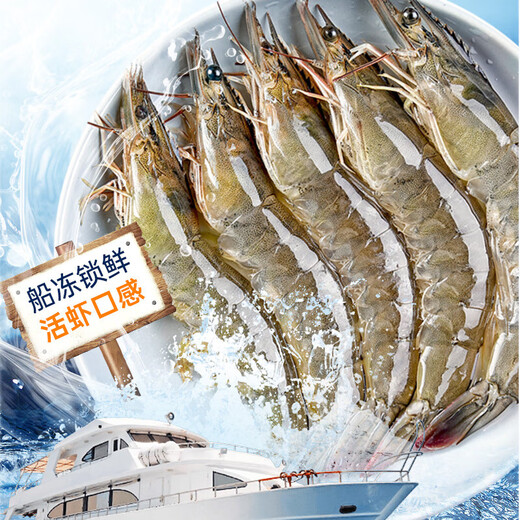 Linglue Qingdao Salted Frozen Prawns Net Weight 3Jin Jin is equal to 0.5kg 105-120 pieces Salted Frozen White Prawns Prawns Base Shrimp Fresh Shrimp