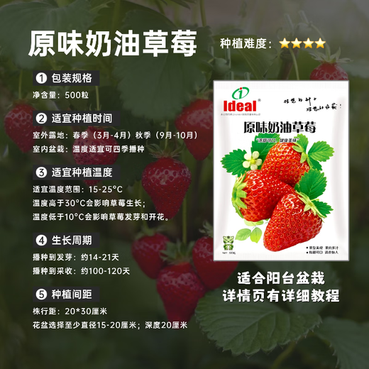 Ldeal ideal agriculture strawberry seeds four seasons potted balcony indoor fruit seeds original cream red strawberry seeds