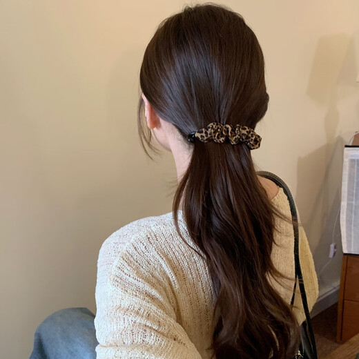 Dongyi carefully selected hair clips for women, 2025 high-end hairpins on the back of the head, twist clips, banana clip hair accessories, light luxury hair clips