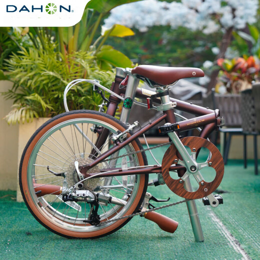 Dahang 20-inch D10 variable speed folding bicycle adult male and female student retro bicycle pomegranate red 20 inches_20 inches