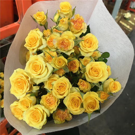 YWZR multi-headed rose flowers Yunnan base sends fresh flowers for home express office Valentine's Day bouquet Bubble rose random color 30-40 flowers + free preservative