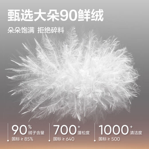 NetEase carefully selects 25 new products, lightweight fluorine-free three-in-one down jacket, functional, technological, knitted feel, windproof, breathable, scratch-resistant and wear-resistant U1 placket style - Phantom Black (three-in-one down liner) L