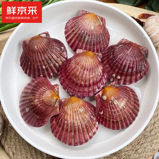 Freshly harvested from Beijing, fresh in season. Fresh red scallops. Net weight: 3 Jin. Jin is equal to 0.5 kg. 10-12 pieces/Jin. Jin is equal to 0.5 kg. Keep fresh but not alive.