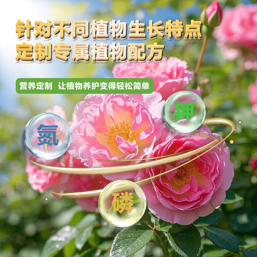 Strawberry special fertilizer slow-release fertilizer organic fertilizer balcony potted strawberry fertilizer to sweeten, improve quality, increase production and promote growth Special strawberry fertilizer 1Jin Jin equals 0.5 kg *1 can