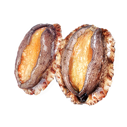 Dongshang Yupin Shandong processing-free abalone pure meat net weight 500g hot pot barbecue ingredients fresh seafood-direct from the source