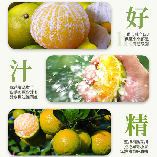 皇帝柑柑橘非沃柑新鲜应季水果鲜甜多汁果肉细嫩多汁(一级果） 皇帝柑带箱9斤(55mm+)