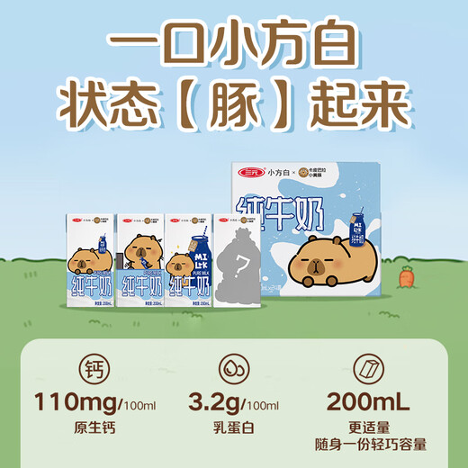 Sanyuan Xiaofang White Pure Milk 200ml*24 boxes 100% raw milk New Year’s gift