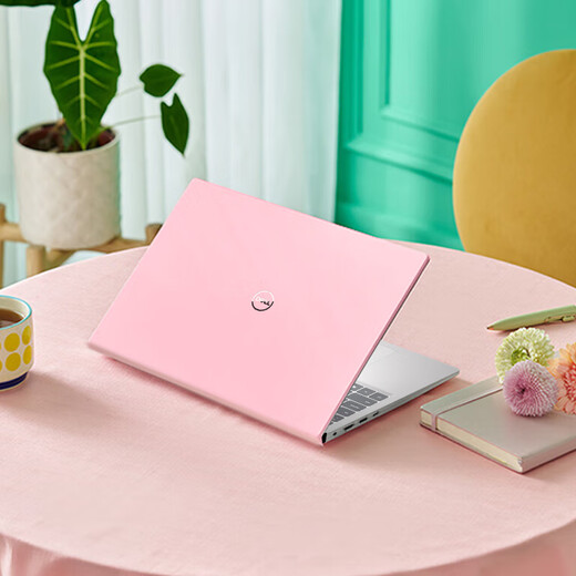 戴尔（DELL）笔记本电脑 灵越15pro 3530 15.6英寸粉色13代酷睿轻薄本商务办公本学生家用全能本超极本手提电脑 Inspiron 15pro轻薄本【15.6英寸】 【娱乐办公】六核酷睿 16G 512G 初恋粉