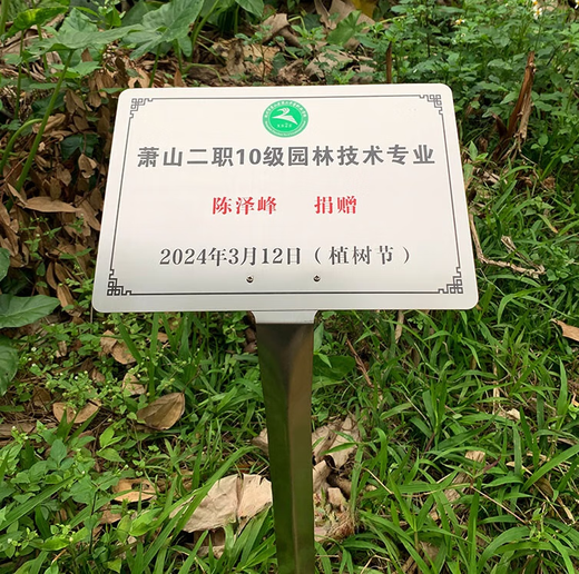 Tree sign, customized tree and flower sign, hanging plant popular science sign, ancient tree insertion sign, introduction sign, stainless steel 20*15CM