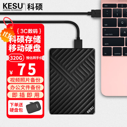 科硕（KESU）移动硬盘USB3.0高速存储手机笔记本电脑连接外接机械硬盘大U盘 320G+硬盘包 K205-魅力黑