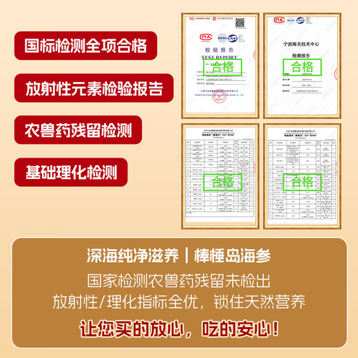 棒棰岛大连有机海参1000g非即食海鲜水产2斤辽刺参孕妇特产送礼礼盒 1000g 礼盒装14-18只【送礼首选】 有机正宗辽参