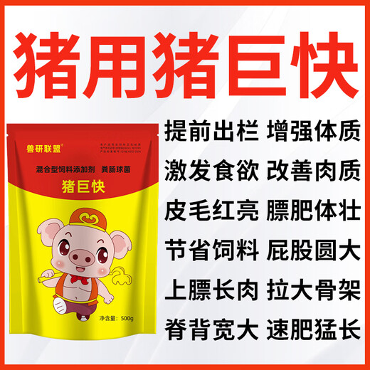 Pig giant fast pig daily growth and fattening veterinary feed additive for fattened pigs for fast fattening and rapid weight gain Pig giant fast bone pulling king 500g*1 pack