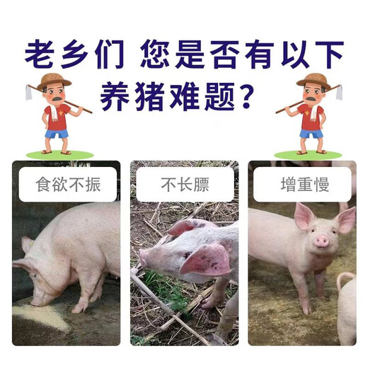 Pig giant fast pig daily growth and fattening veterinary feed additive for fattened pigs for fast fattening and rapid weight gain Pig giant fast bone pulling king 500g*1 pack