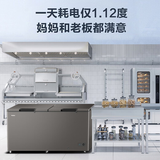 Haier (Haier) 519 liter freezer large capacity freezer - 40 degrees ultra-low temperature cryogenic quick freezing 500 liters or more horizontal freezer first class energy efficiency energy saving freezer BC/BD-519GHPC