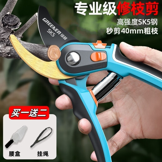 GREENER gardening scissors, special scissors for cutting branches, floral scissors, household garden fruit tree pruning scissors, two-color handle
