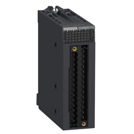 Schneider AO module PLC analog output BMXAMO0210 BMXAMO0410 BMXAMO0802 BMXAMO0802